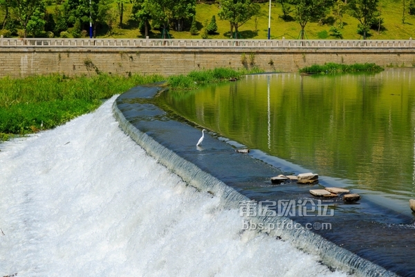 【几何学单反】泗华旁边的绶溪河畔 清清的水流流向绶溪公园