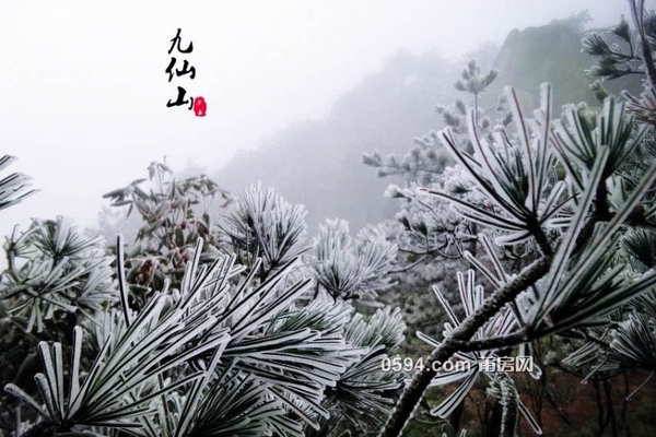梦幻九仙山：冰雪、雾凇、冰松、云海