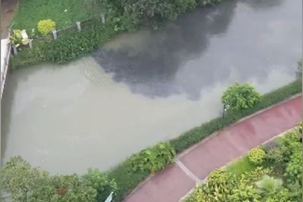 视频：大Q连！谁在市体中心这边的河里倒污水